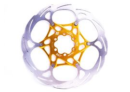 Formula Two pieces disc Gold 2024